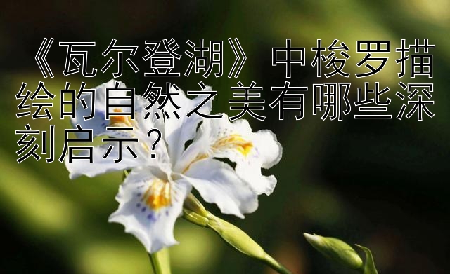 《瓦尔登湖》中梭罗描绘的自然之美有哪些深刻启示？