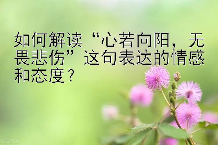 如何解读“心若向阳，无畏悲伤”这句表达的情感和态度？