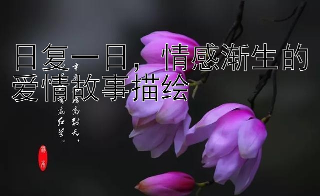 日复一日，情感渐生的爱情故事描绘