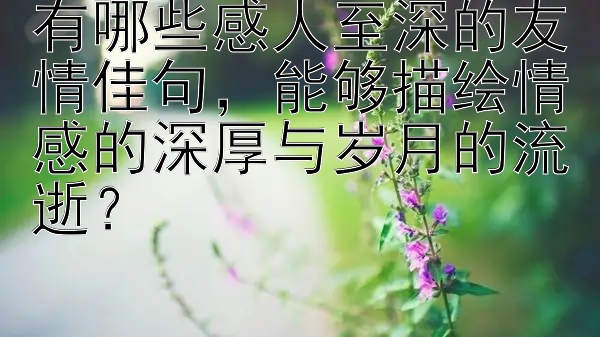 有哪些感人至深的友情佳句，能够描绘情感的深厚与岁月的流逝？