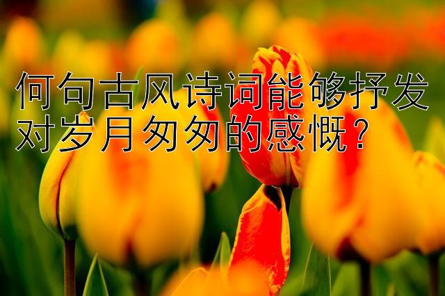 何句古风诗词能够抒发对岁月匆匆的感慨？