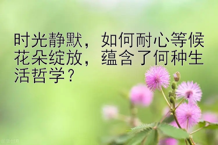 时光静默，如何耐心等候花朵绽放，蕴含了何种生活哲学？