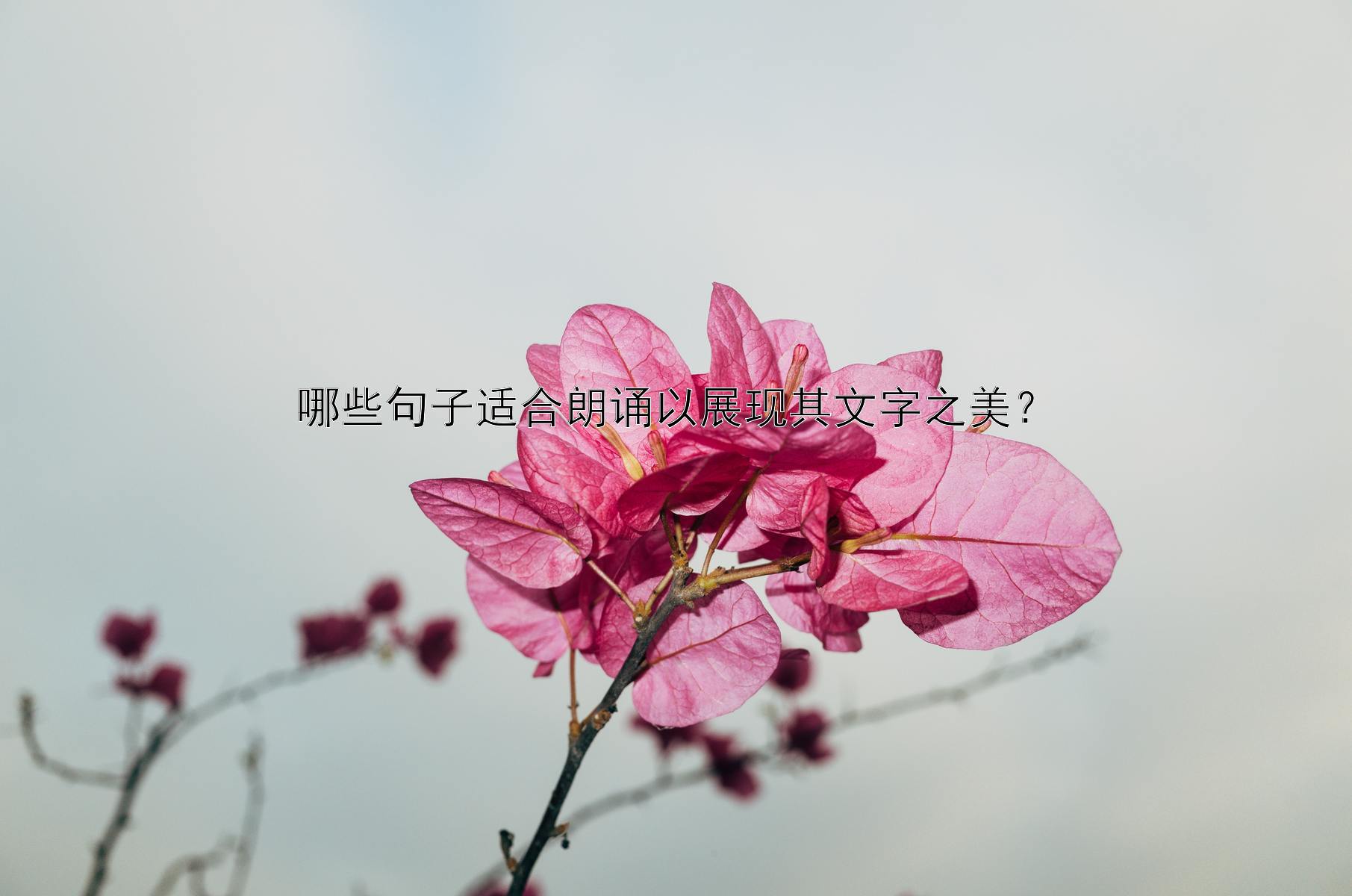 哪些句子适合朗诵以展现其文字之美？