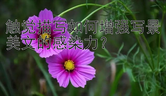 触觉描写如何增强写景美文的感染力？