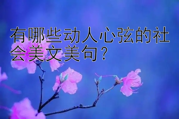 有哪些动人心弦的社会美文美句？