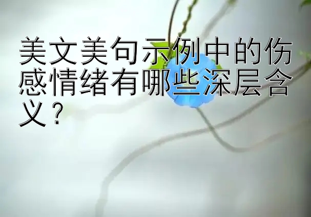 美文美句示例中的伤感情绪有哪些深层含义？