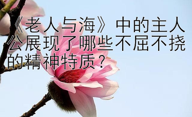 《老人与海》中的主人公展现了哪些不屈不挠的精神特质？