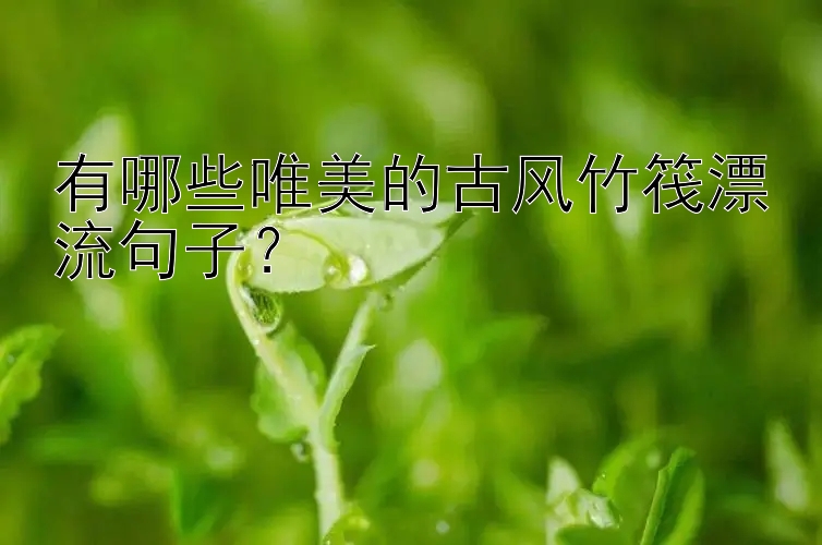 有哪些唯美的古风竹筏漂流句子？