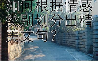 如何根据情感类别划分出精美文句？