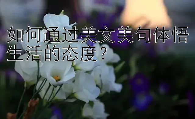 如何通过美文美句体悟生活的态度？