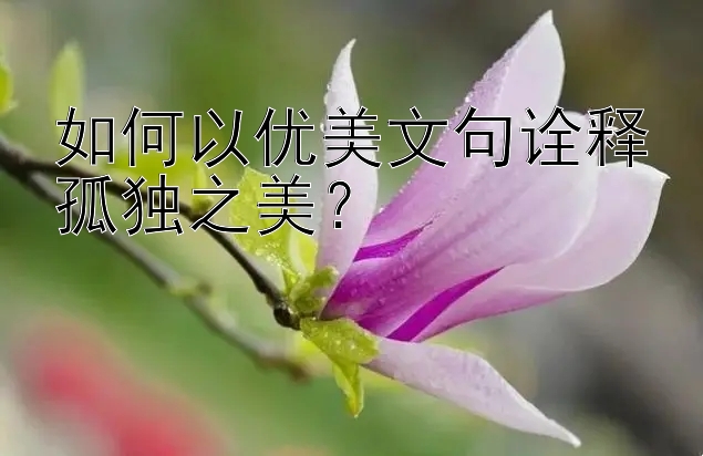 如何以优美文句诠释孤独之美？