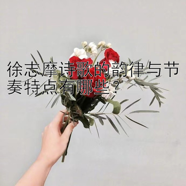 徐志摩诗歌的韵律与节奏特点有哪些？