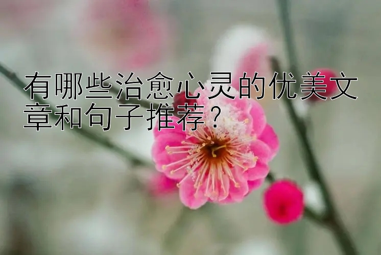 有哪些治愈心灵的优美文章和句子推荐？