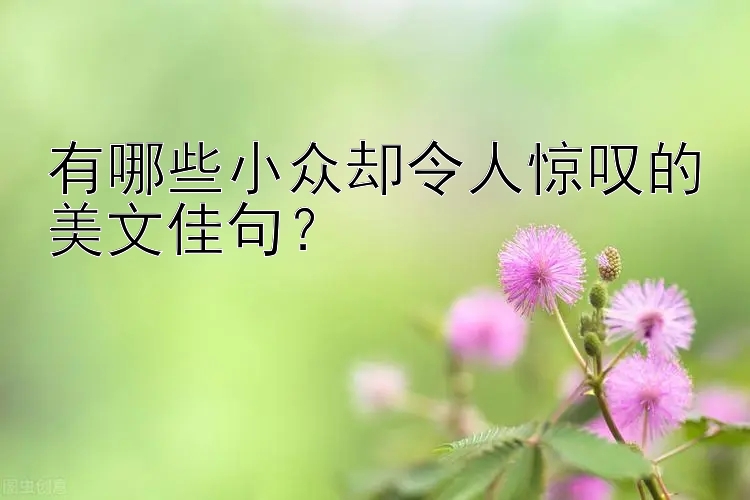 有哪些小众却令人惊叹的美文佳句？