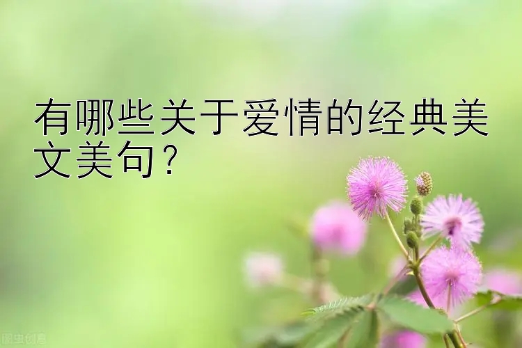 有哪些关于爱情的经典美文美句？