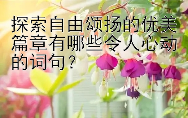 探索自由颂扬的优美篇章有哪些令人心动的词句？