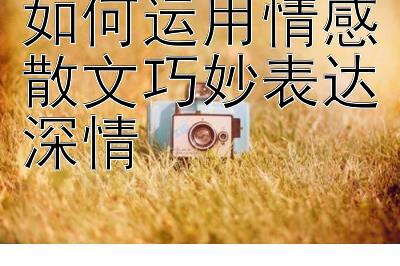 如何运用情感散文巧妙表达深情