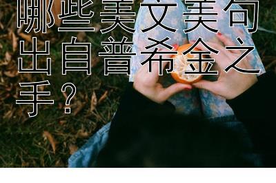 哪些美文美句出自普希金之手？