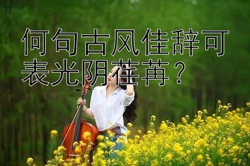 何句古风佳辞可表光阴荏苒？