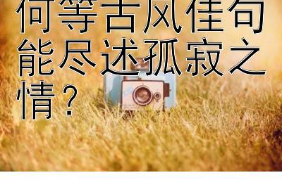 何等古风佳句能尽述孤寂之情？