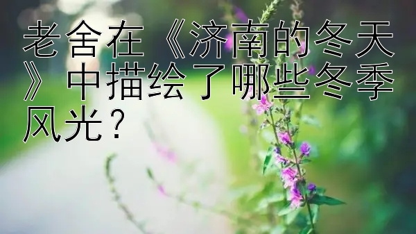 老舍在《济南的冬天》中描绘了哪些冬季风光？