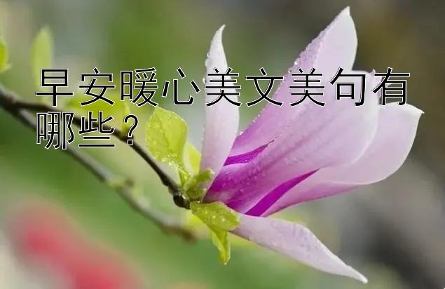 早安暖心美文美句有哪些？