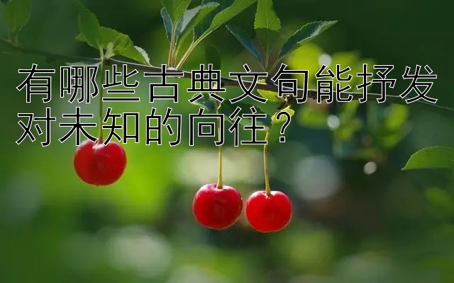 有哪些古典文句能抒发对未知的向往？