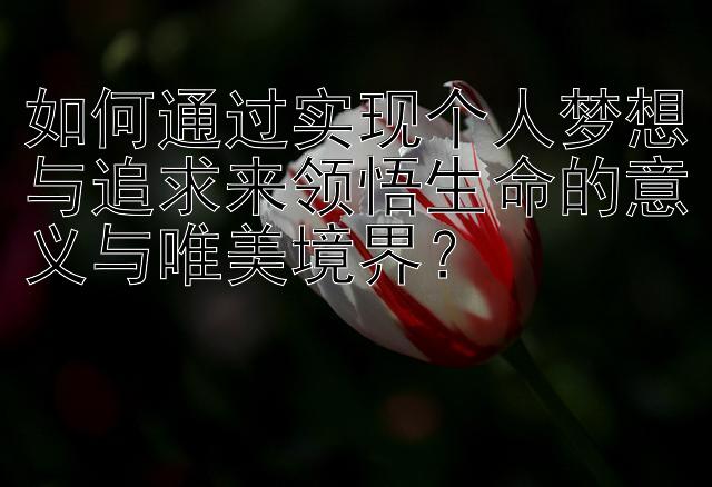 如何通过实现个人梦想与追求来领悟生命的意义与唯美境界？