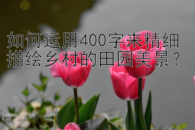 如何运用400字来精细描绘乡村的田园美景？