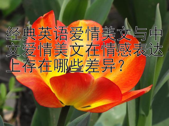 经典英语爱情美文与中文爱情美文在情感表达上存在哪些差异？