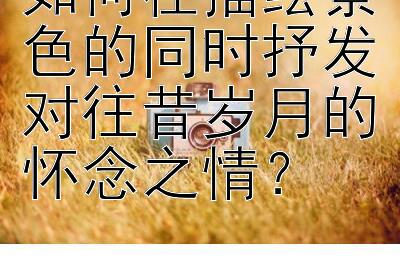 如何在描绘景色的同时抒发对往昔岁月的怀念之情？