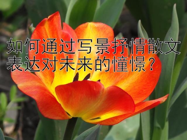 如何通过写景抒情散文表达对未来的憧憬？