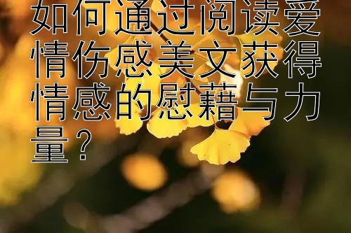 如何通过阅读爱情伤感美文获得情感的慰藉与力量？