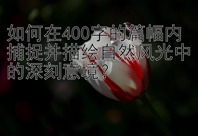 如何在400字的篇幅内捕捉并描绘自然风光中的深刻意境？