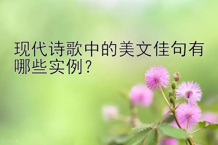 现代诗歌中的美文佳句有哪些实例？