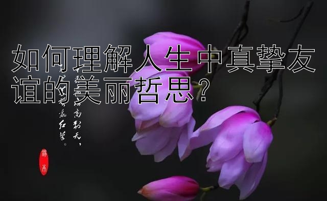 如何理解人生中真挚友谊的美丽哲思？