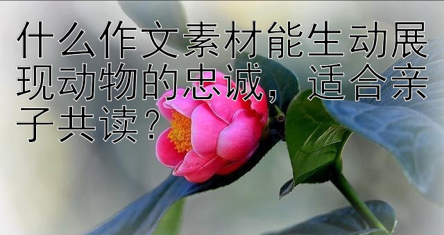 什么作文素材能生动展现动物的忠诚，适合亲子共读？