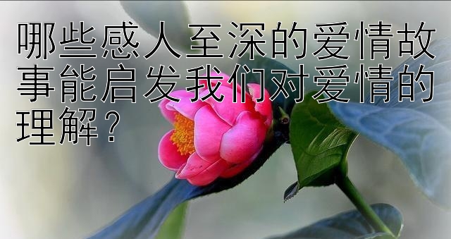 哪些感人至深的爱情故事能启发我们对爱情的理解？