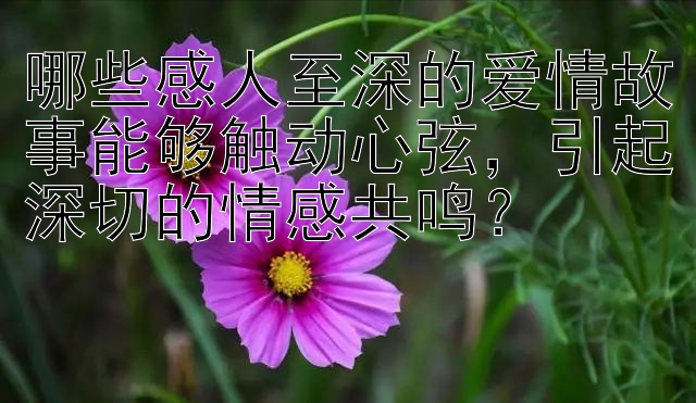 哪些感人至深的爱情故事能够触动心弦，引起深切的情感共鸣？