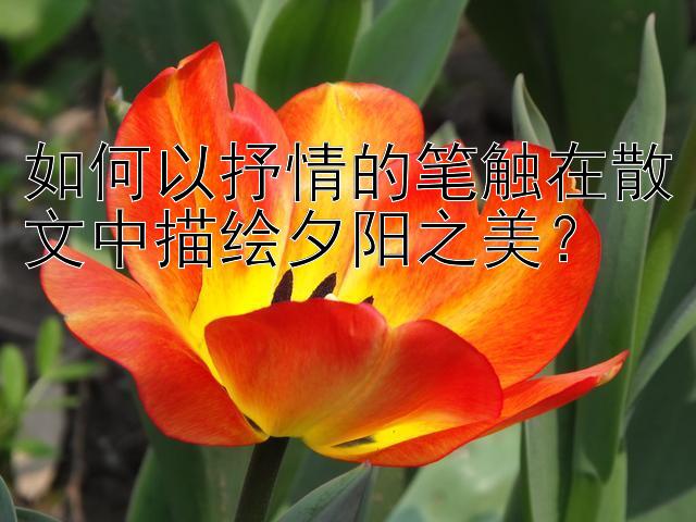 如何以抒情的笔触在散文中描绘夕阳之美？