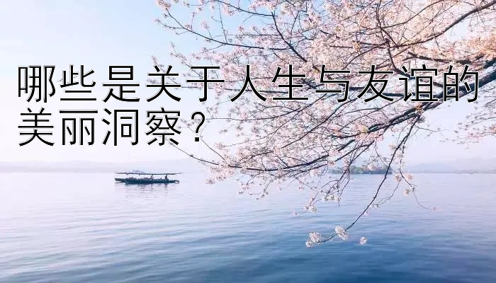 哪些是关于人生与友谊的美丽洞察？