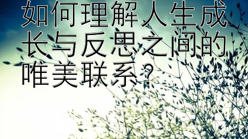 如何理解人生成长与反思之间的唯美联系？