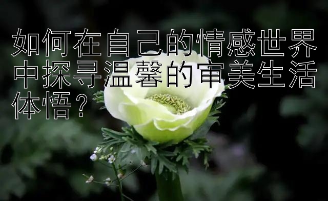 如何在自己的情感世界中探寻温馨的审美生活体悟？