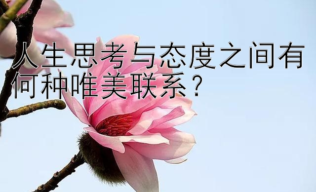 人生思考与态度之间有何种唯美联系？