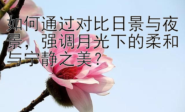 如何通过对比日景与夜景，强调月光下的柔和与宁静之美？