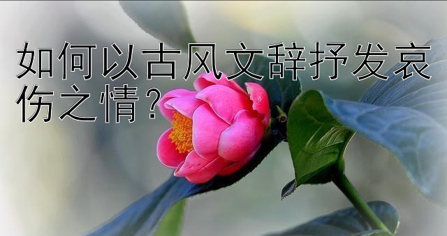 如何以古风文辞抒发哀伤之情？