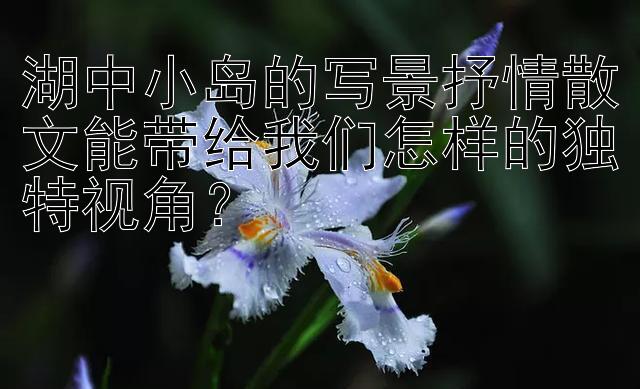 湖中小岛的写景抒情散文能带给我们怎样的独特视角？