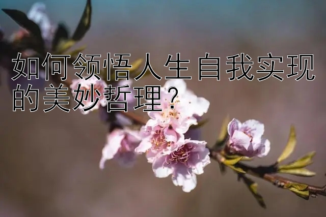 如何领悟人生自我实现的美妙哲理？