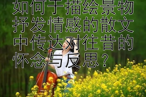 如何于描绘景物抒发情感的散文中传达对往昔的怀念与反思？