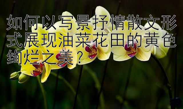 如何以写景抒情散文形式展现油菜花田的黄色绚烂之美？